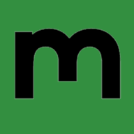 Metalift S.r.l. logo