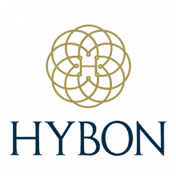 Hybon Elevators logo