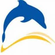 Dolphin Lifts Kent LTD logo