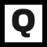 Quality Elevators & Lifts logo