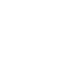 F.lli Sodini Ascensori logo