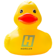 Horsler Lift Services Ltd logo