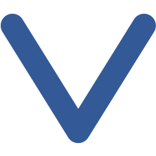 Vega Lift Group logo