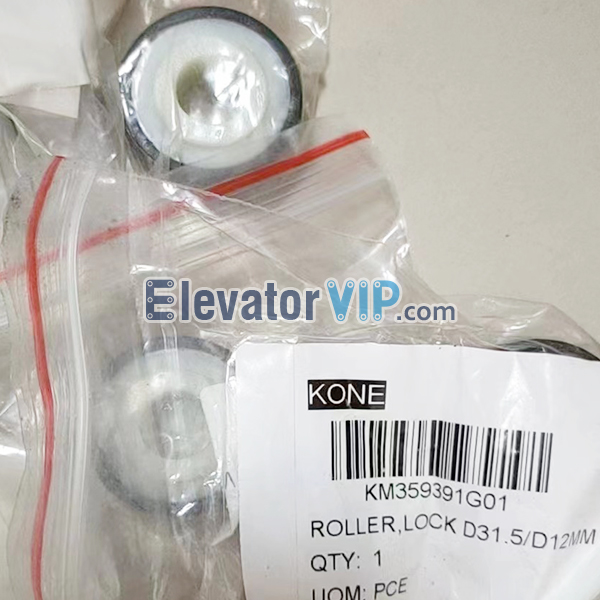 KM359391G01 KONE Door System